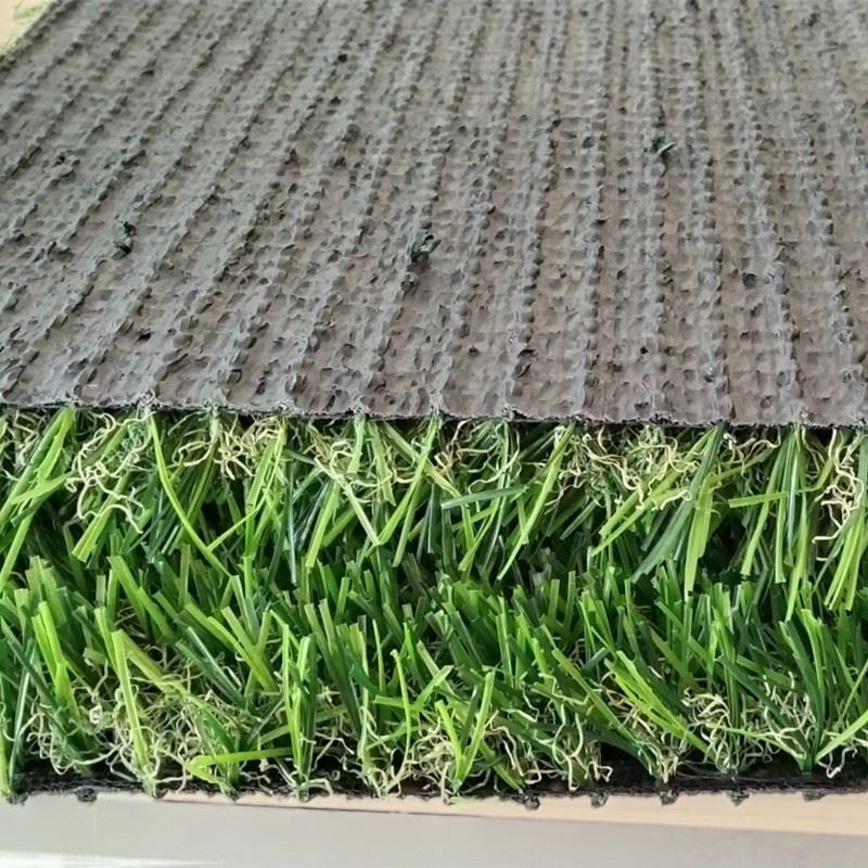 mẫu cỏ cảnh mới